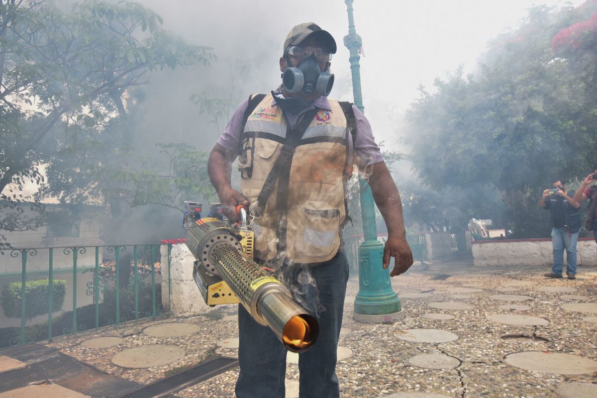 El paludismo, como el dengue, se contagia a través de la picadura de mosquito. (Cuartoscuro / Archivo)