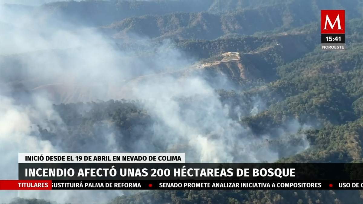 Incendio en Nevado de Colima afectó cerca de 200 héctarias de bosque