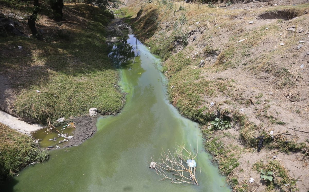 Apariencia de un venero del Río Atoyac | Andrés Lobato