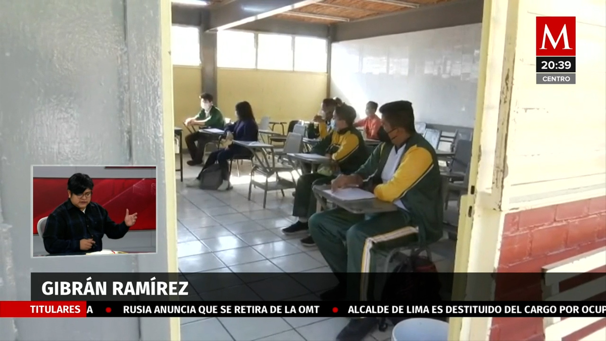¿Cómo afectaría una reforma educativa?