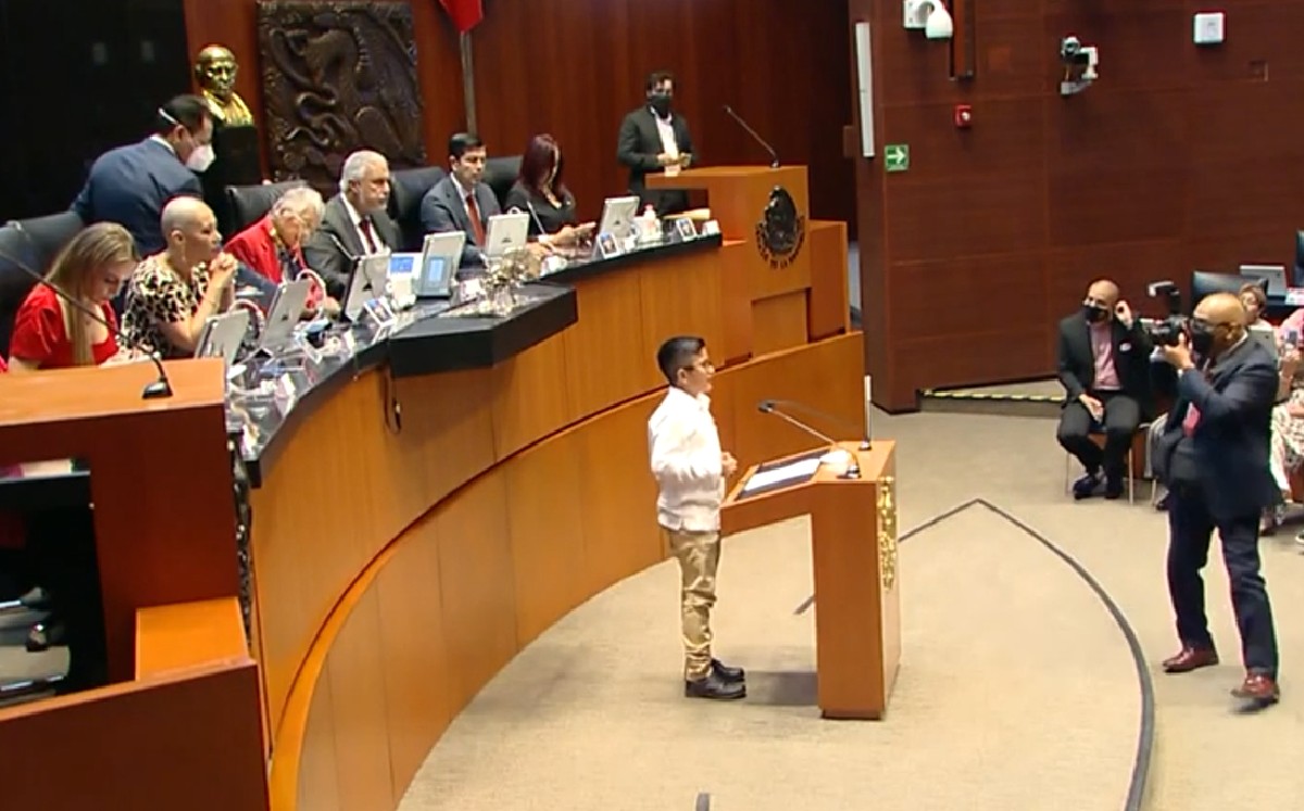Conemoración del Día del Niño y de la Niña en el Senado. (Captura)