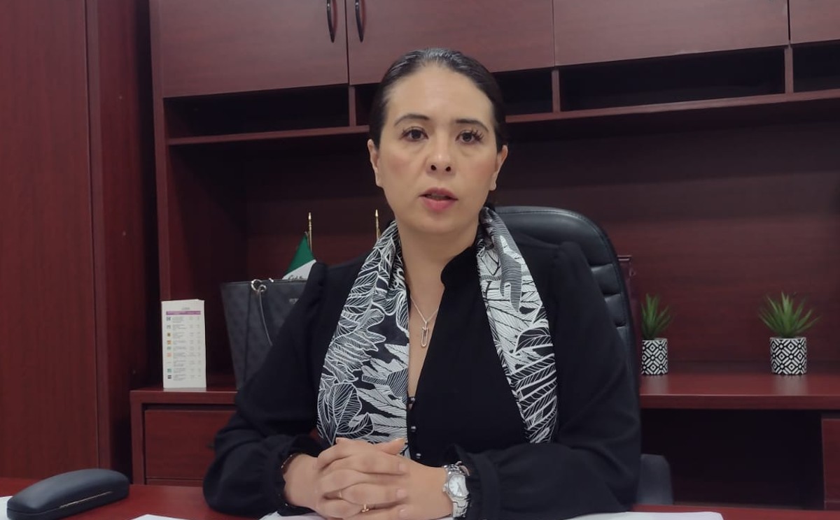 "También falta cumplir con el protocolo para prevenir, atender, sancionar y erradicar el acoso y el hostigamiento sexual y laboral". (Claudia Hidalgo)