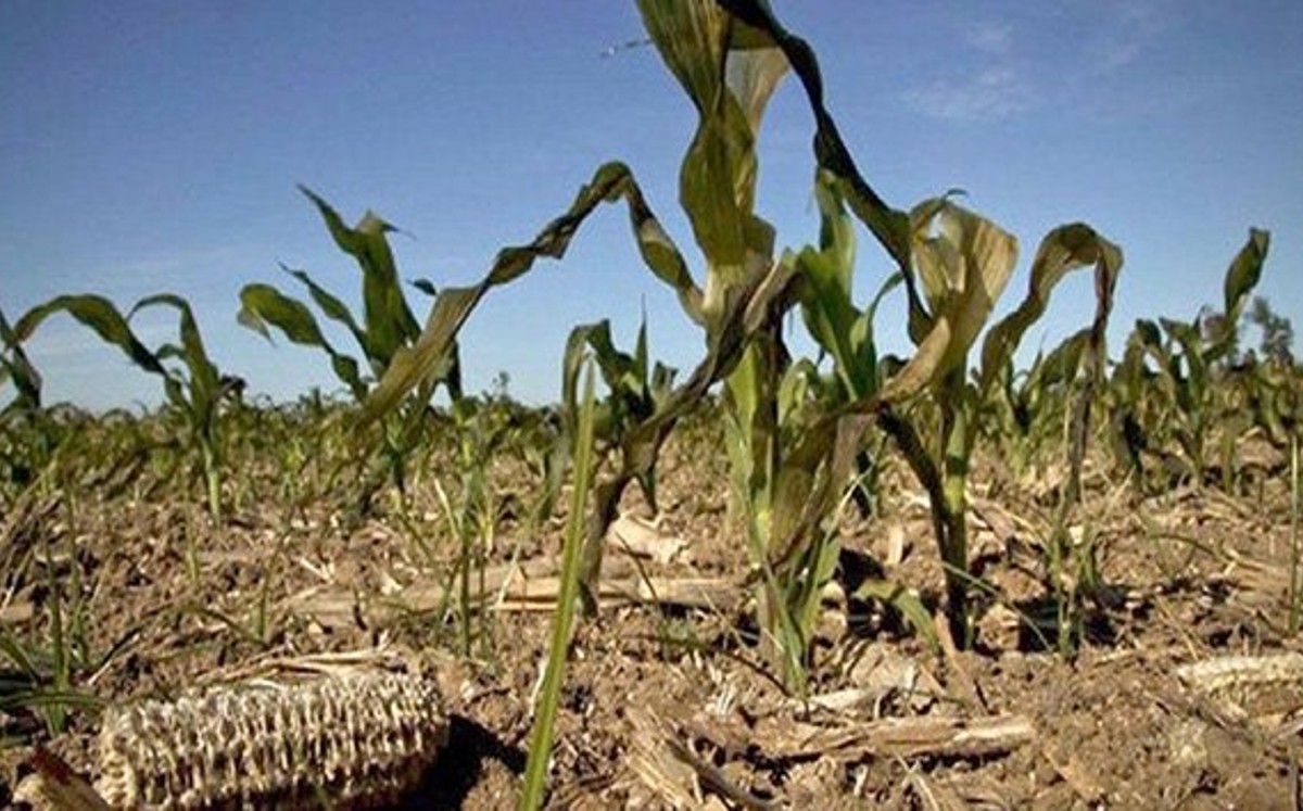 Piden apoyos para el campo a autoridades federales en Tamaulipas