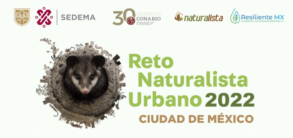 La Sedema invitó a participar en el reto naturalista 2022 | Especial