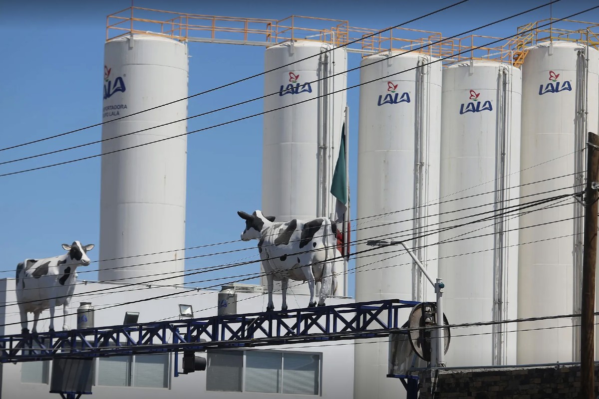 Empresa lechera en La Laguna | Rolando Riestra