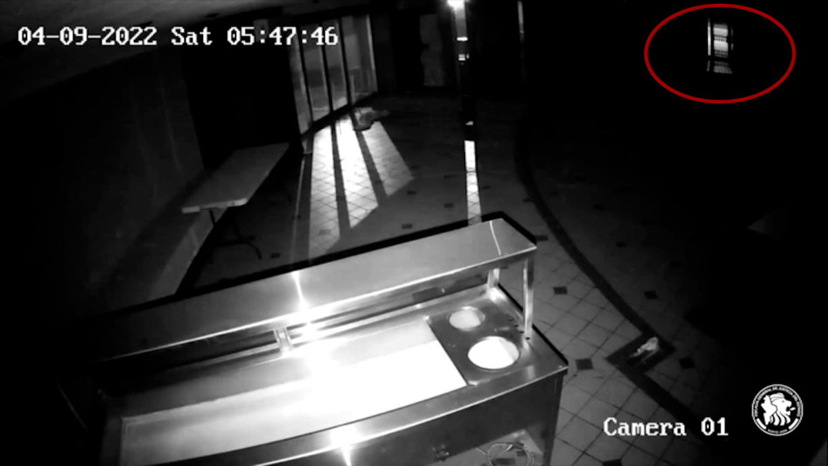 Video de motel donde hallaron a Debanhi capta a persona subiendo a auto