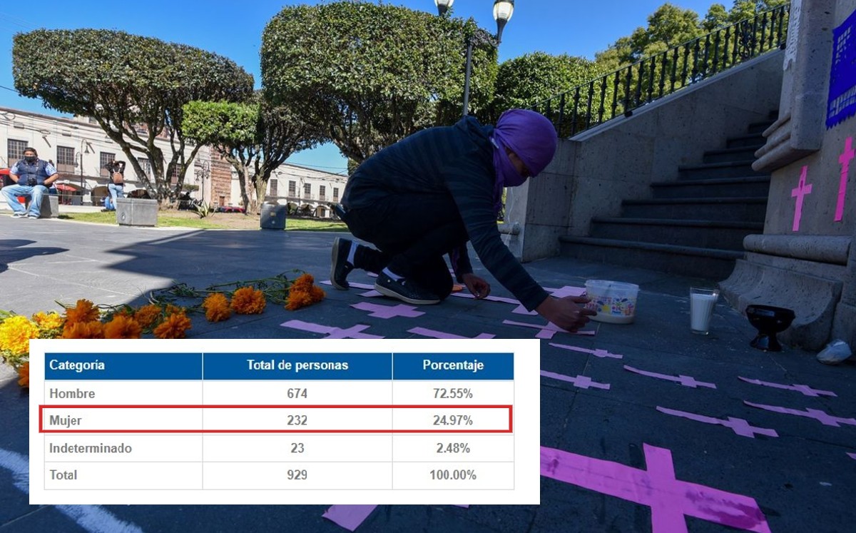 En Guanajuato desaparecen 232 mujeres en dos años / Especial