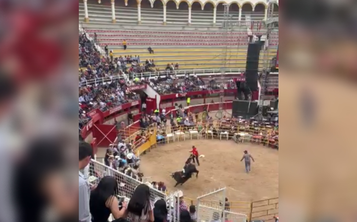 Los hechos fueron publicados en un video.