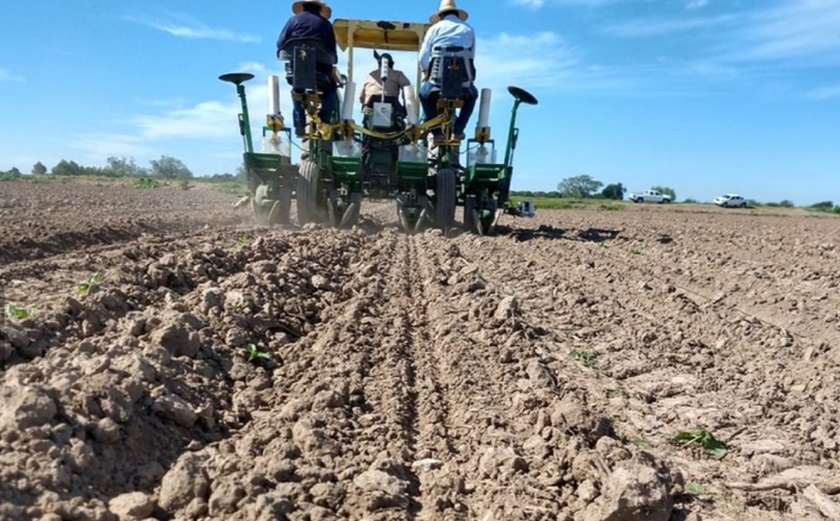 "Ese mecanismo no ha dado resultado en ejercicios similares que se han pretendido realizar en el pasado". (Especial)