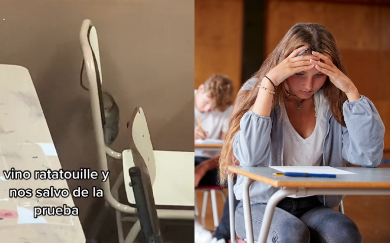 Rata “salva” a alumnos de presentar examen
