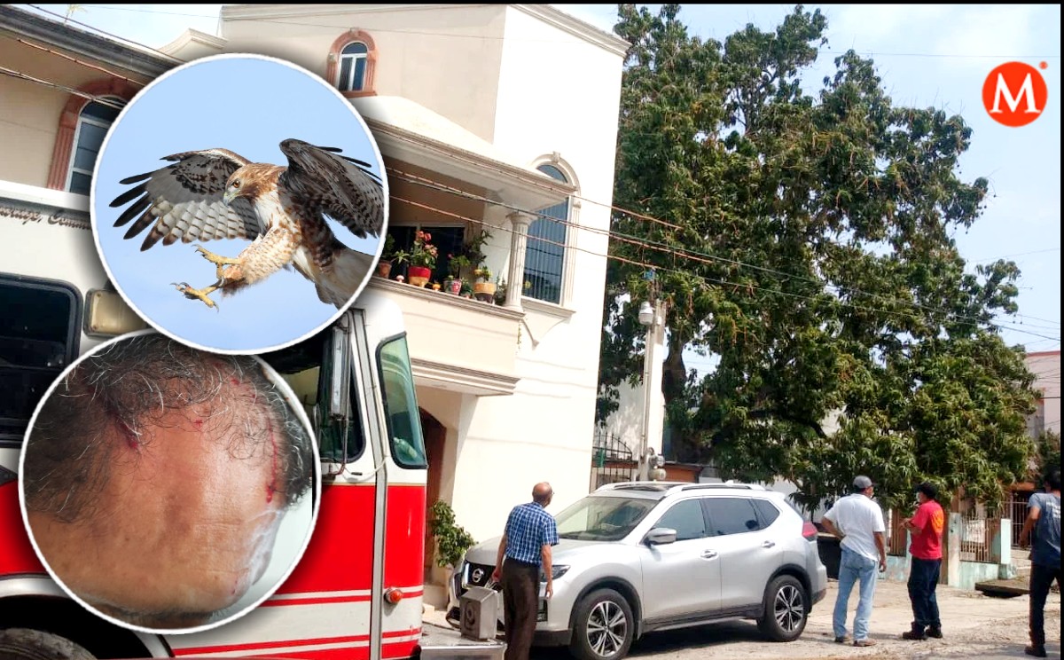Pareja es atacada por gavilanes en Tampico