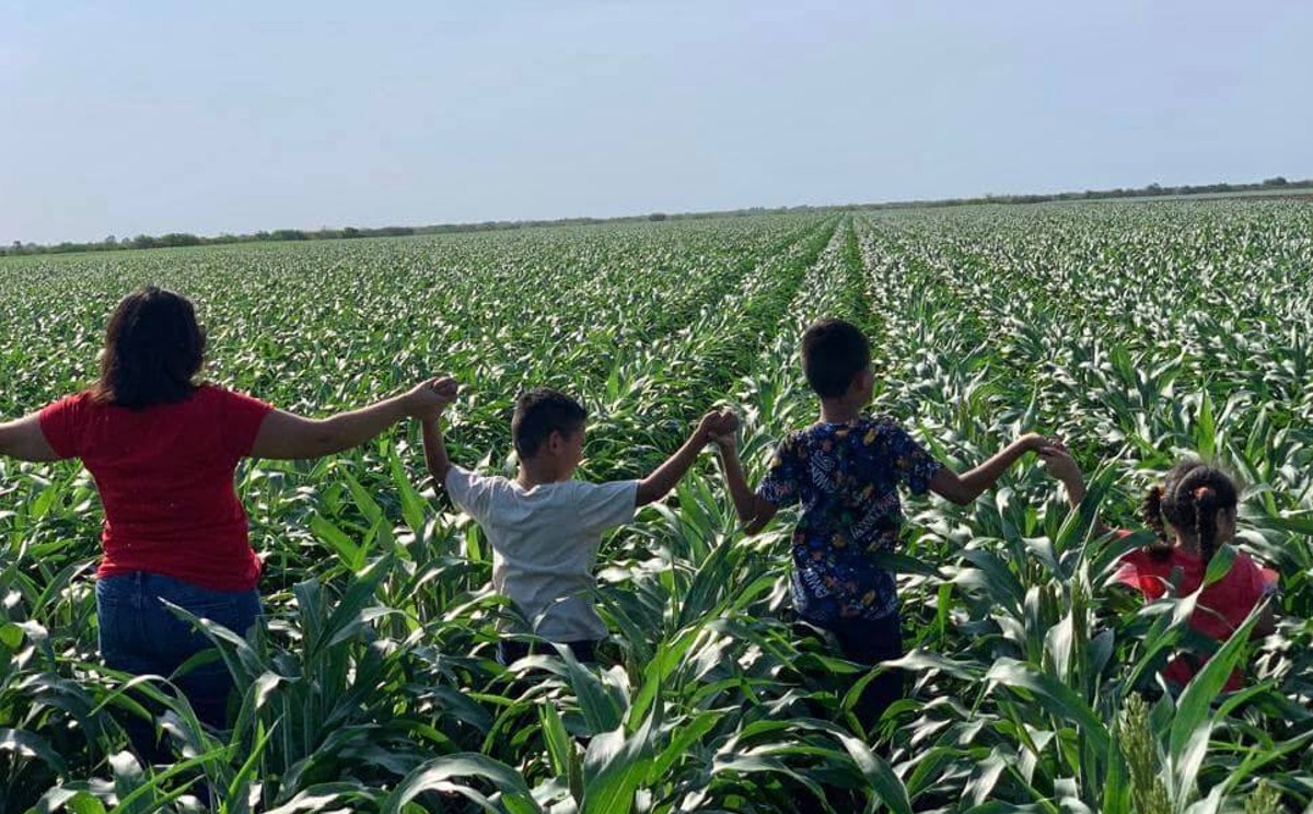 En Tamaulipas se celebró la llegada de lluvias al campo en abril pasado.