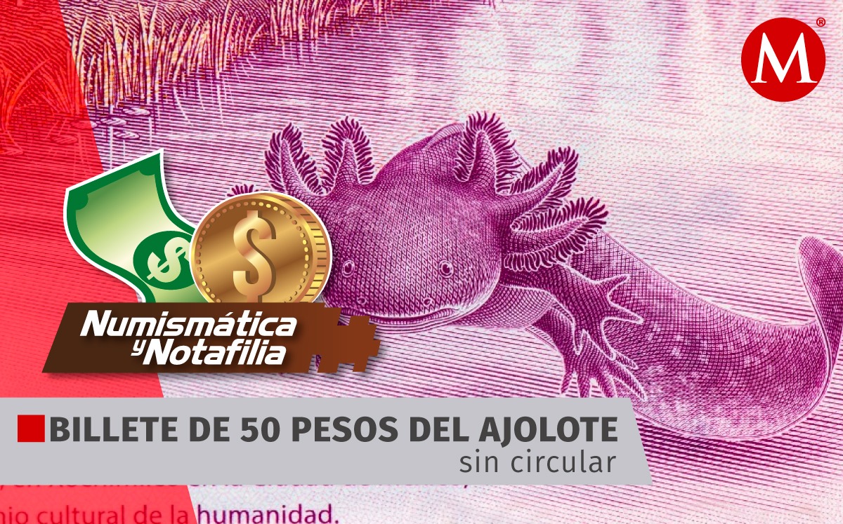 El billete de 50 pesos del ajolote entró en circulación a partir del 28 de octubre de 2021. (Foto: Shutterstock/ Diseño: Margarita Salmorán)