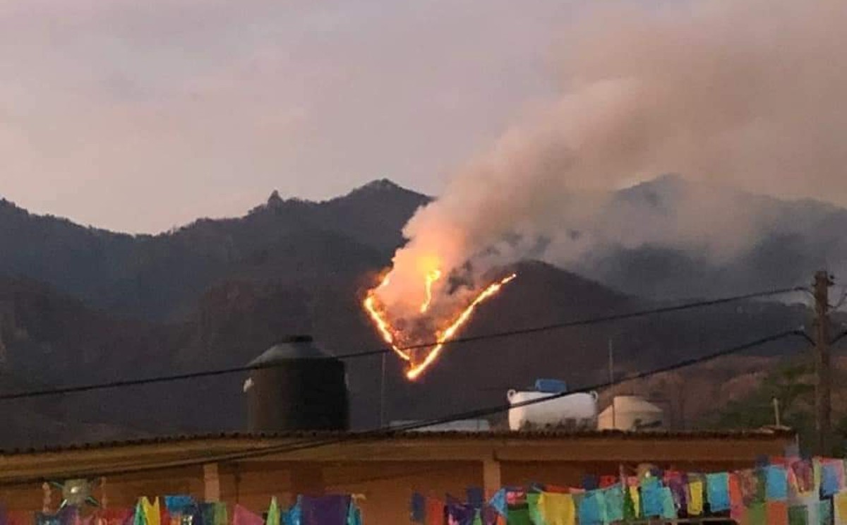 50 brigadistas de Probosque arribaron al sitio para combatir el incendio.