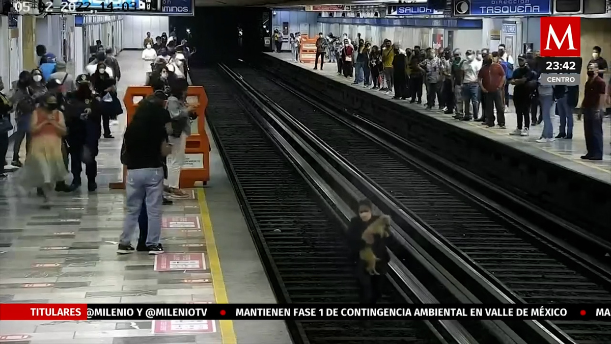 Rescatan a perrito de vías de L2 del Metro CdMx; ya está con su dueña