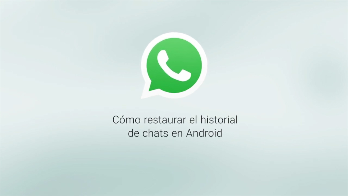 Actualizaciones para aprovechar al máximo WhatsApp | Notivox Tech
