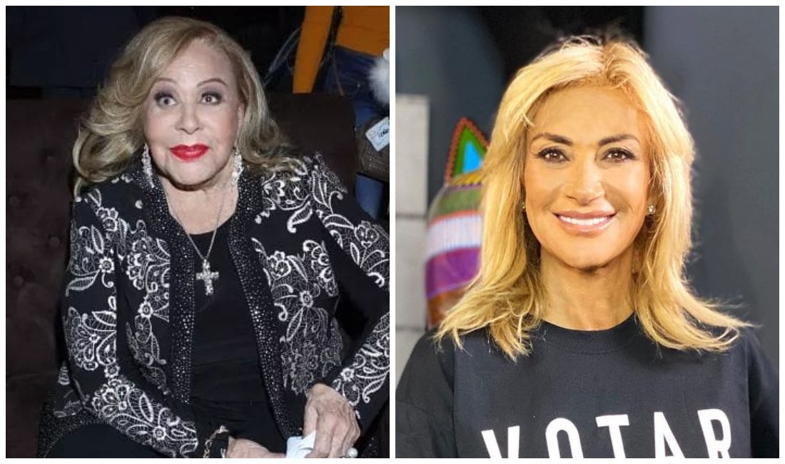 Adela Micha recordó la polémica que causó su comentario (Instagram).