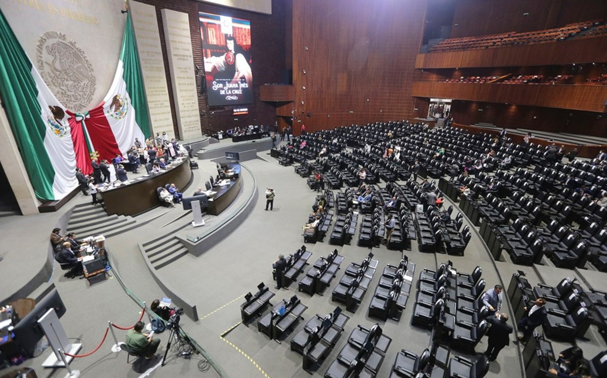 Diputada en Tamaulipas apoya reducción de diputados no desaparición