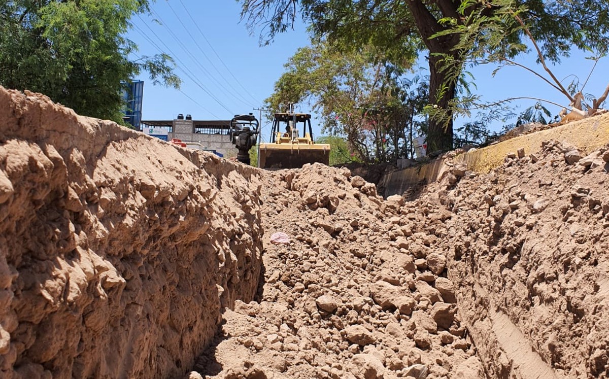 Directores de obra en Torreón no son 'patito': Von Bertrab. (Especial)