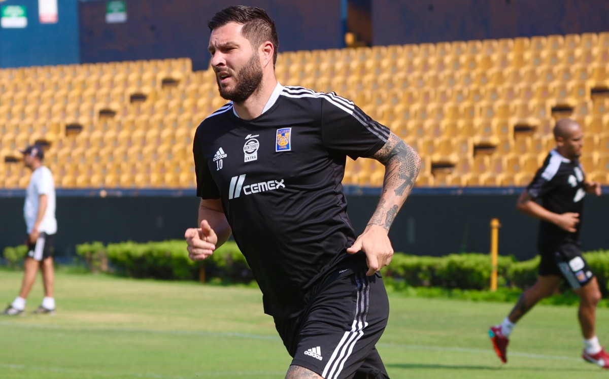 Gignac muestra mejorías en su recuperación rumbo a la liguilla (Twitter @TigresOficial)