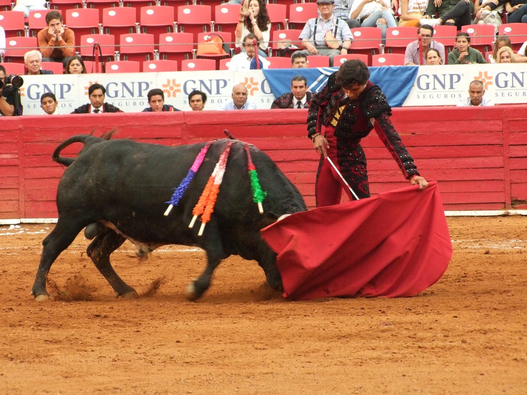 2ª Corrida de Primavera en la México (Jorge Matchain)