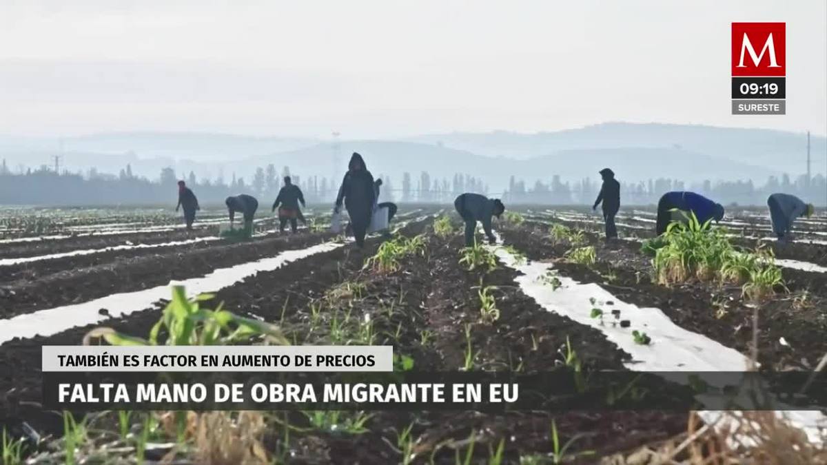 Falta mano de obra migrante en EU