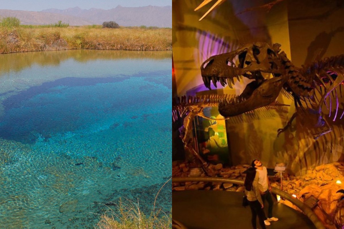 Vinos y Dinos y pozas de Cuatro Ciénegas. (Especial