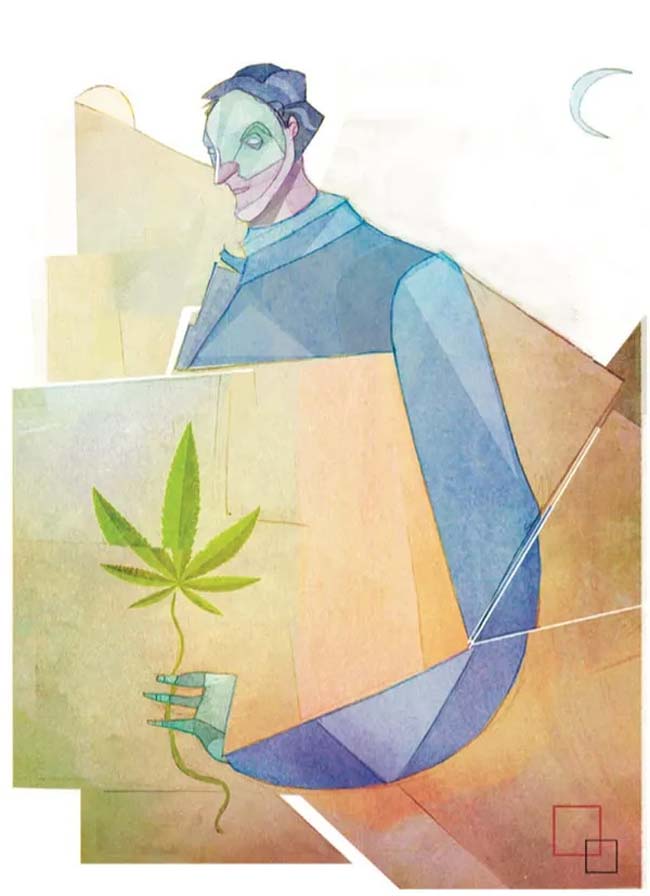 Consumidor o no consumidor de cannabis: ¿quién debe decidir?