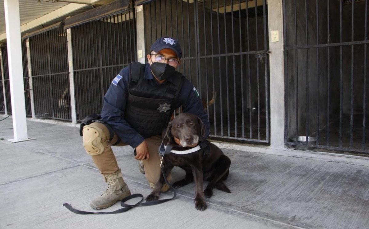 Gracias a la adopción Hugo Mora y Anika vivirán nuevas experiencias | Melanie Torres