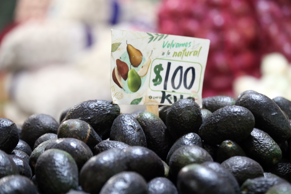 El aguacate en el Mesón Estrella de Monterrey. Foto: Jorge López