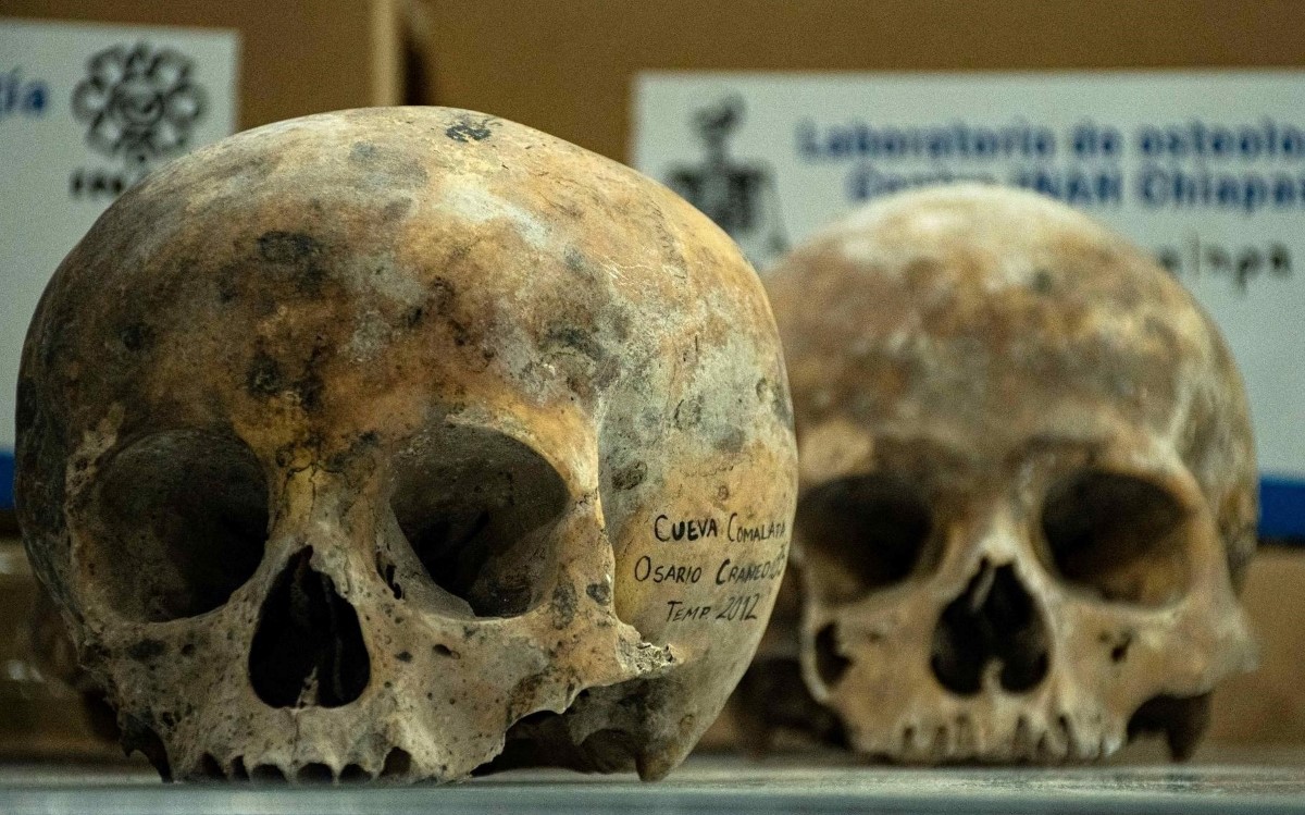 Los cráneos pertenecen a personas decapitadas entre los años 900 y 1200. | EFE
