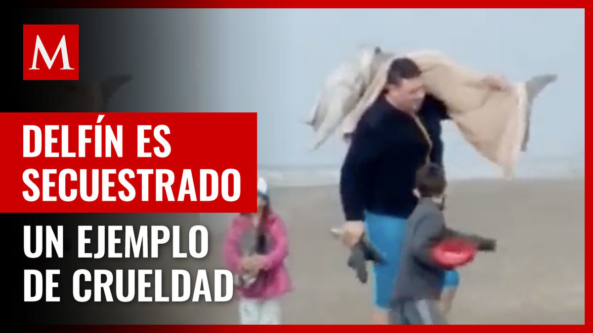 Hombre captura ilegalmente a delfín en peligro de extensión