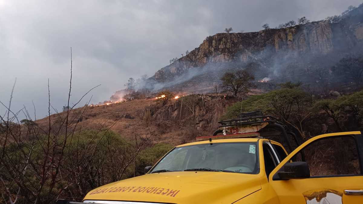 Incendio forestal junto a cerro El taray en Zapopan  (Cortesía)