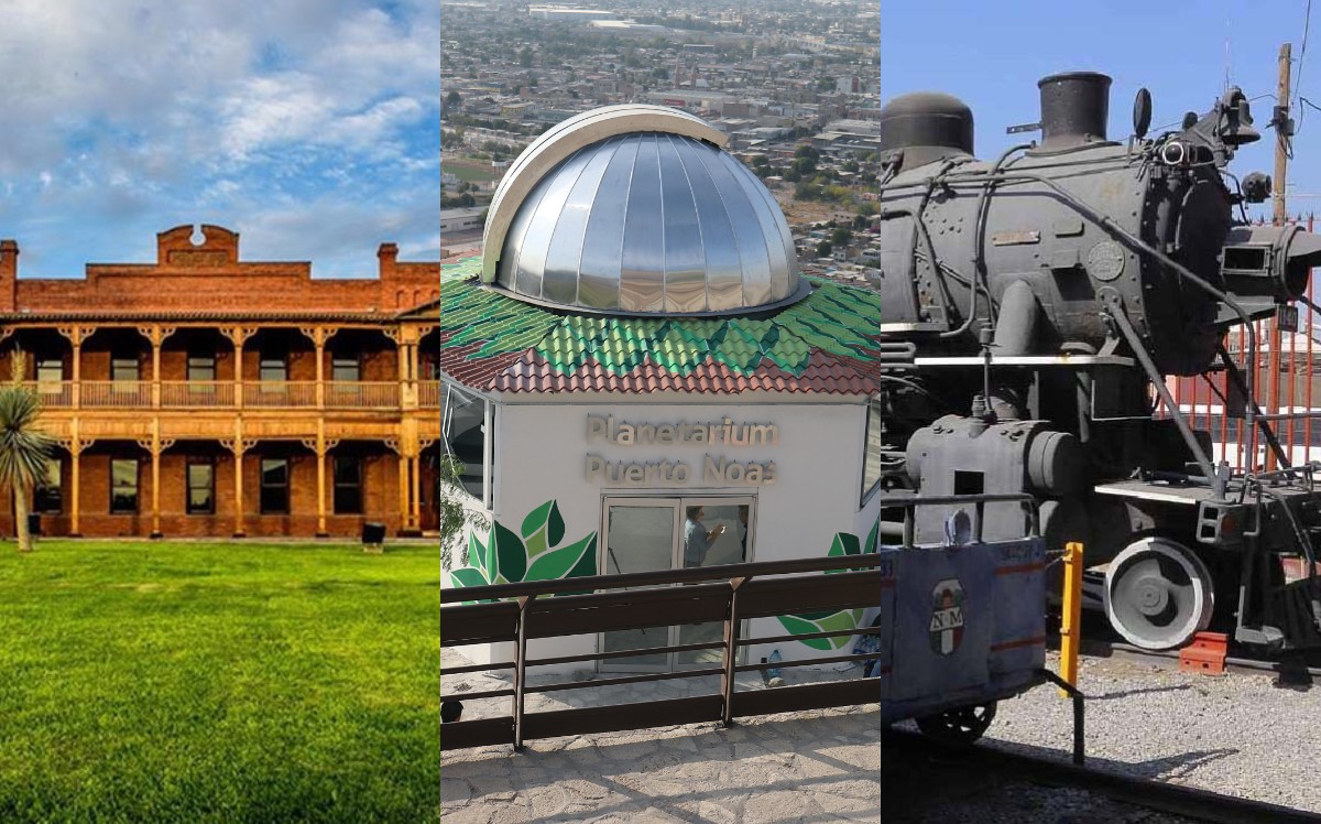 Día Internacional de los Museos. (Especial)