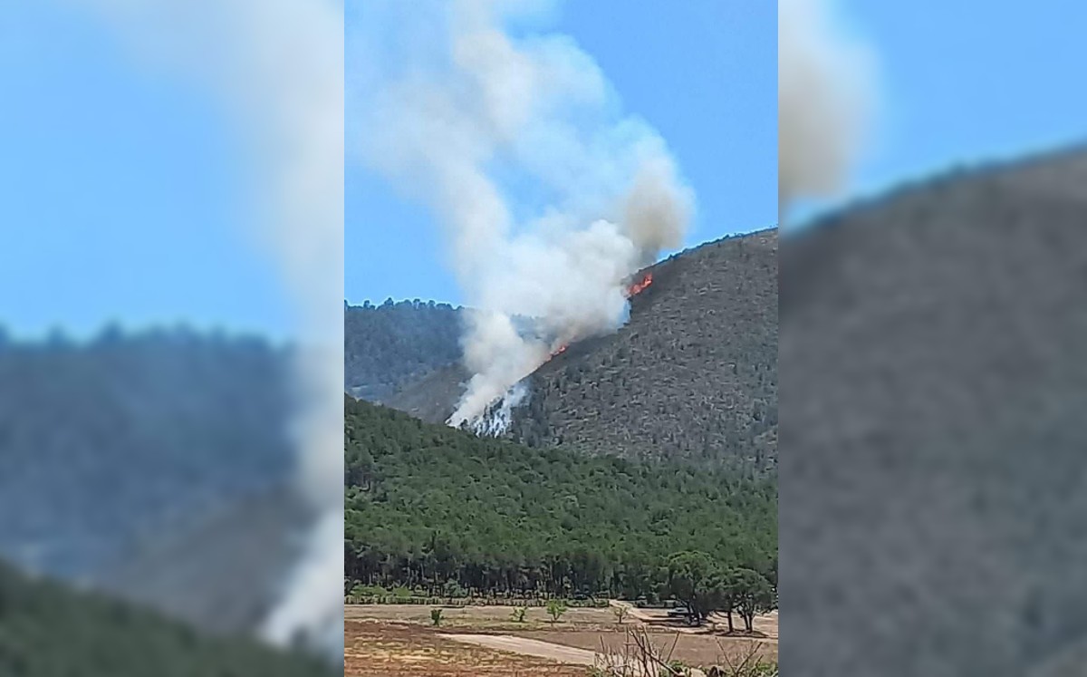 Tormentas eléctricas provocan tres incendios más en sierra de Arteaga. (Especial)