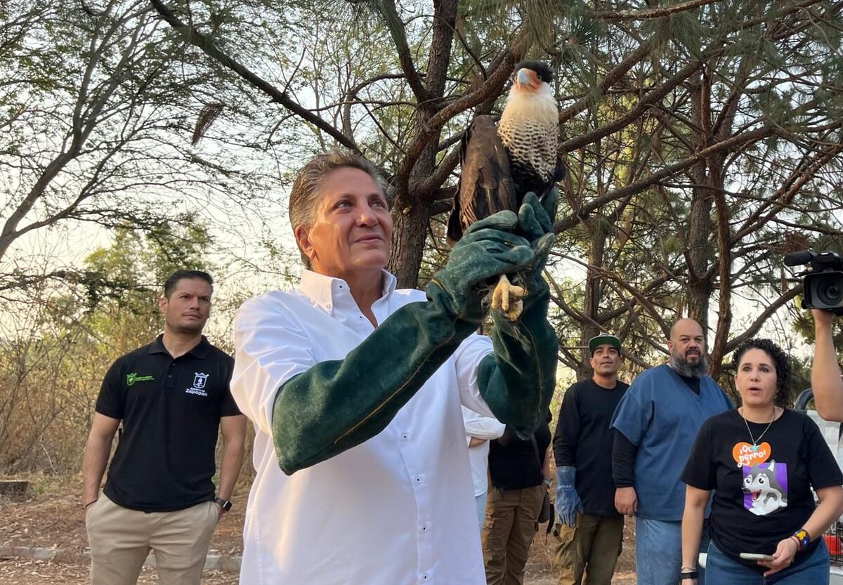 Realiza Zapopan la liberación de diversas especies de fauna (Rpberto Hurtado)