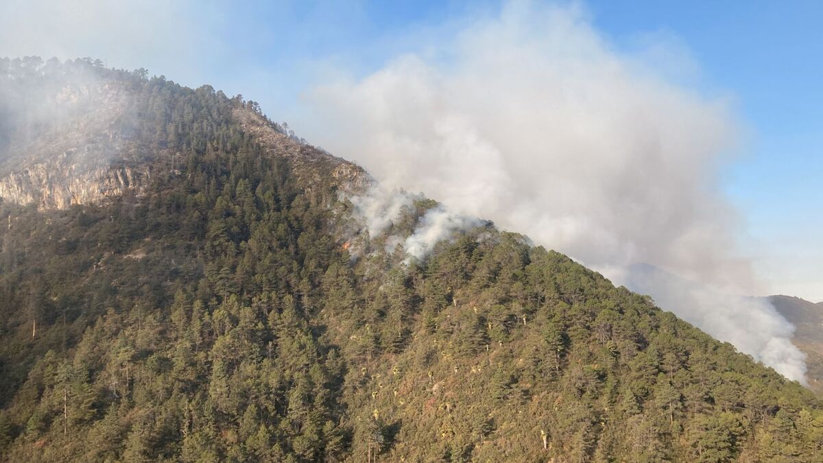 Se buscará más apoyo aéreo para liquidar los cuatro incendios activos. | Especial
