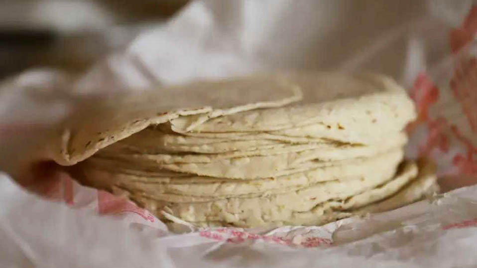 Consejo Nacional de la Tortilla no atenderá llamado de AMLO