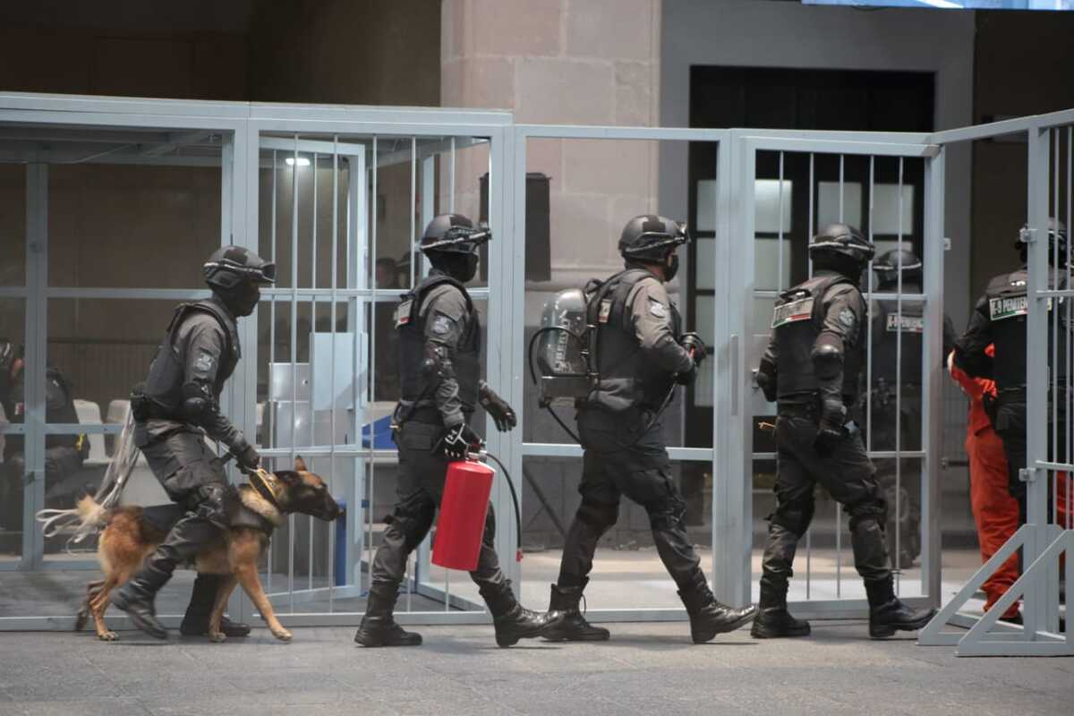 perritos