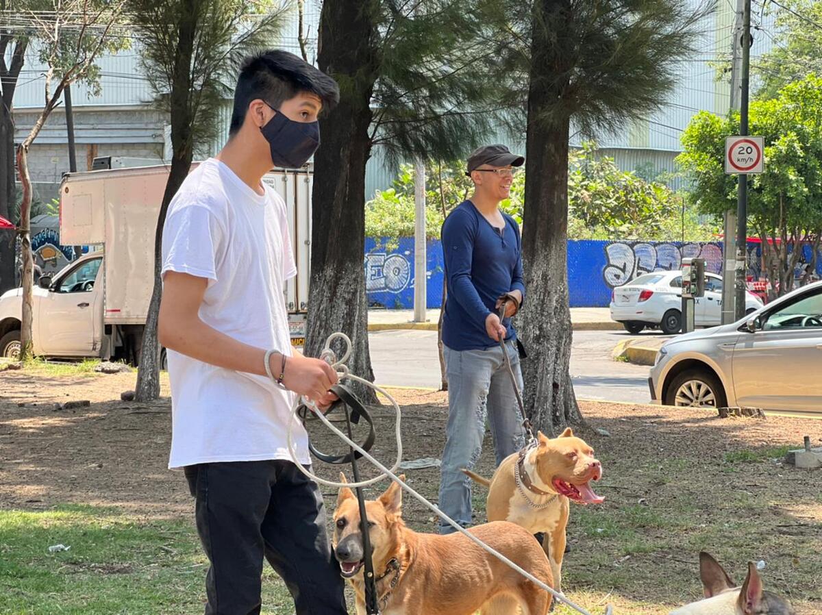 Se busca hacer conciencia del abandono a perritos. (César García)