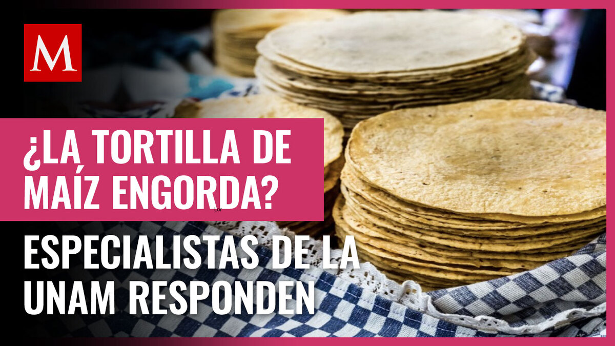 ¿La tortilla de maíz engorda? Especialistas de la UNAM responden