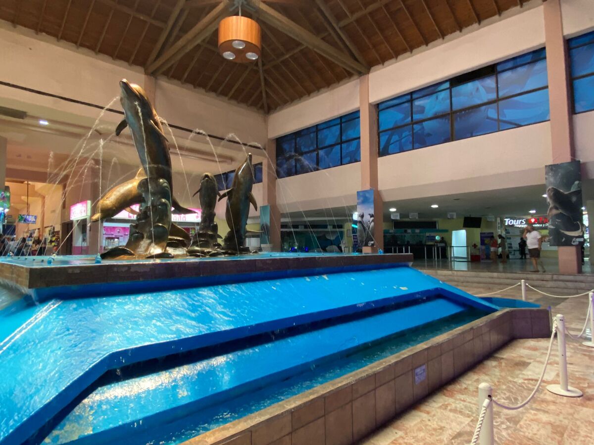 acuario