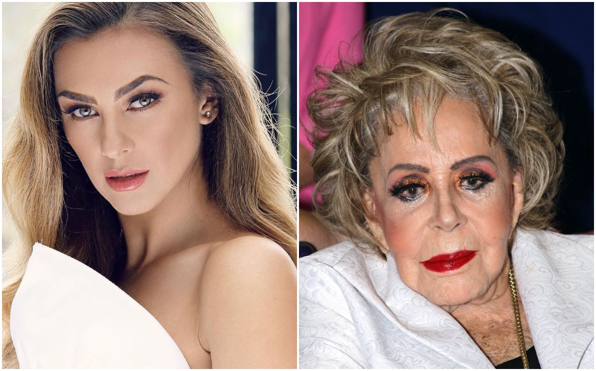 Aracely Arámbula defiende a Silvia Pinal tras críticas por obra (Instagram).