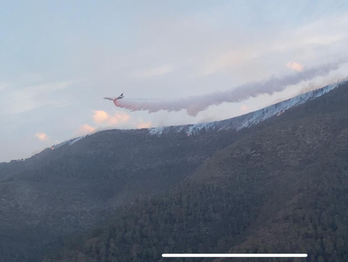 Incendios forestales en Coahuila. (Especial)