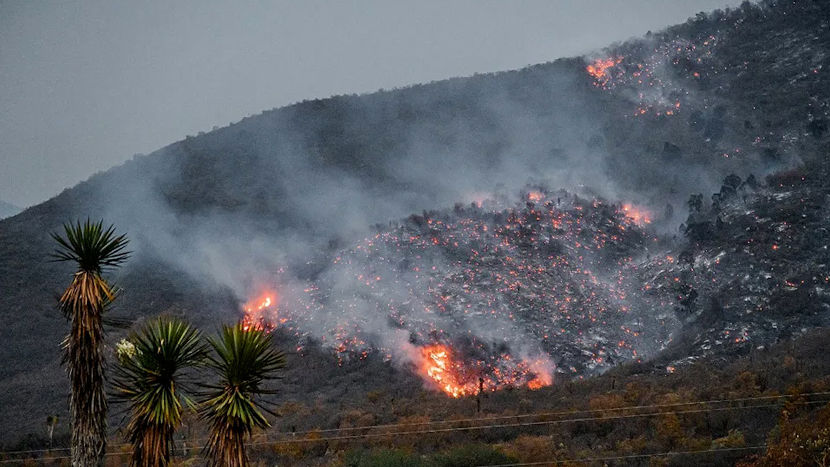 Se registran nueve incendios forestales activos en Coahuila