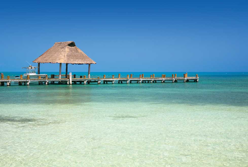 Las Islas Marías cuentan con una enorme biodiversidad debido a sus años de aislamiento.