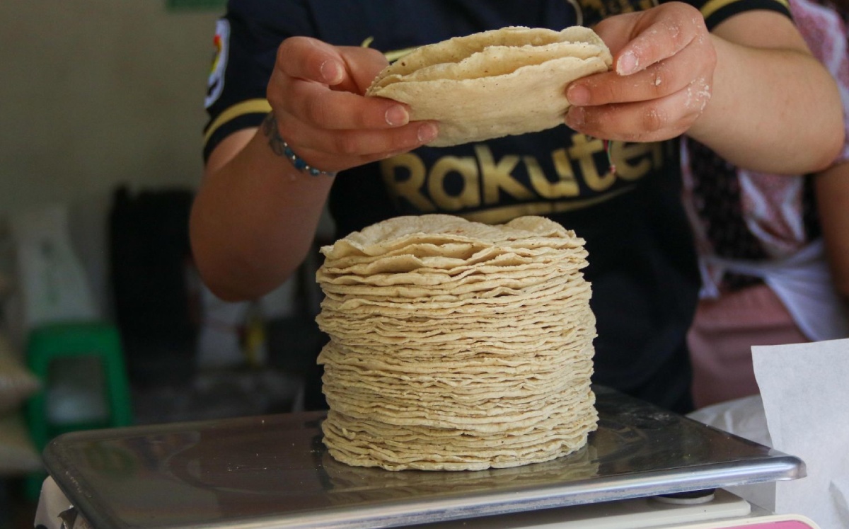 La tortilla es uno de los alimentos de mayor consumo. Foto: (Cuartoscuro)