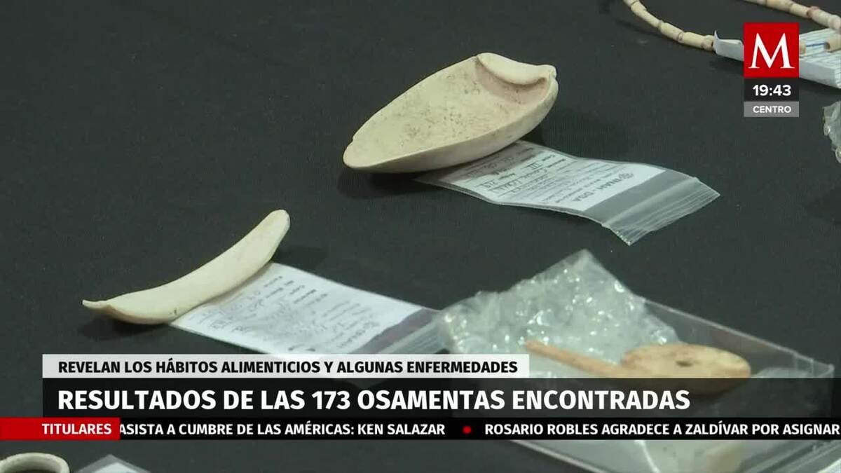 Resultados de estudios realizados por antropólogos en la ruta del Tren Maya