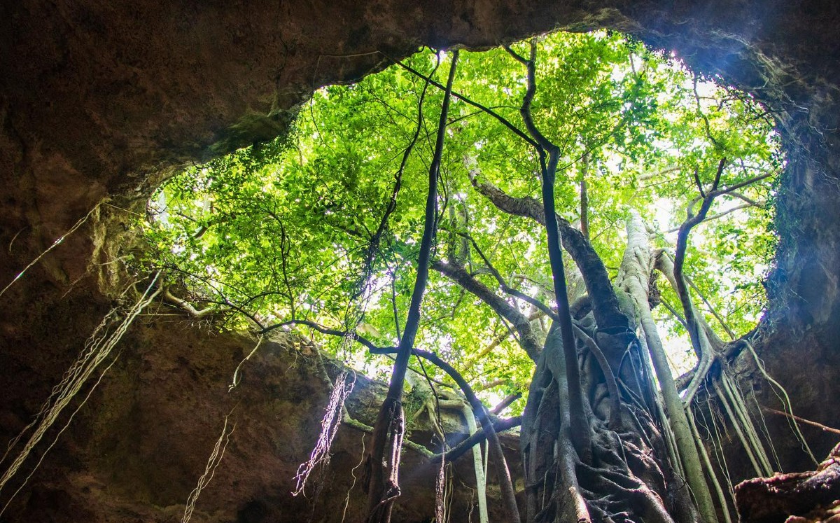 Caverna de los cuarteles en Aldama, Tamaulipas