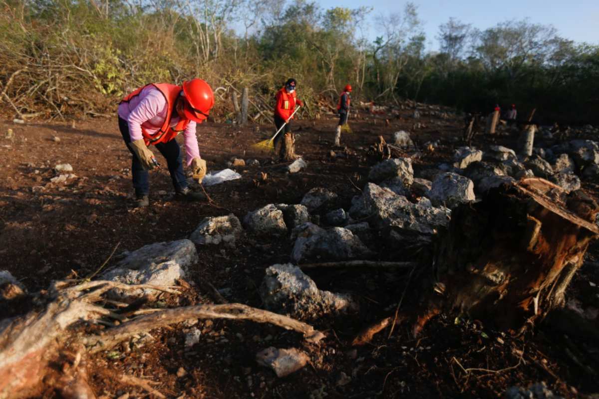 https://cdn.milenio.com/uploads/media/2022/05/22/supervision-obre-tren-maya-araceli-2.jpg